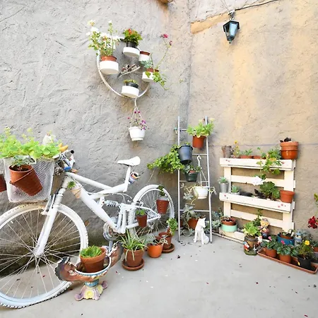 Casa Pita Дом отдыха