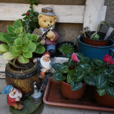 Casa Pita Дом отдыха