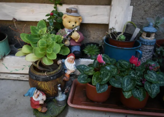 Casa Pita Holiday home